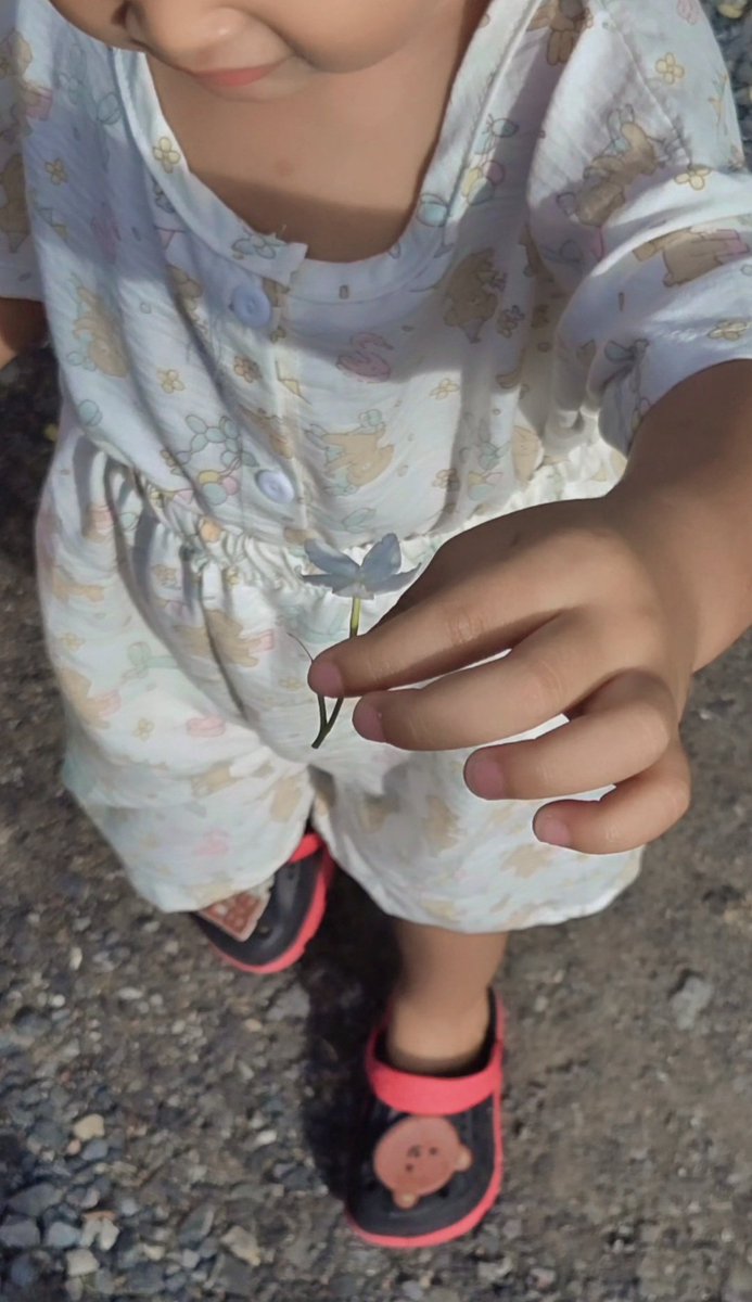 ต้นไม้ของเตนล์ 🌱 tweet media