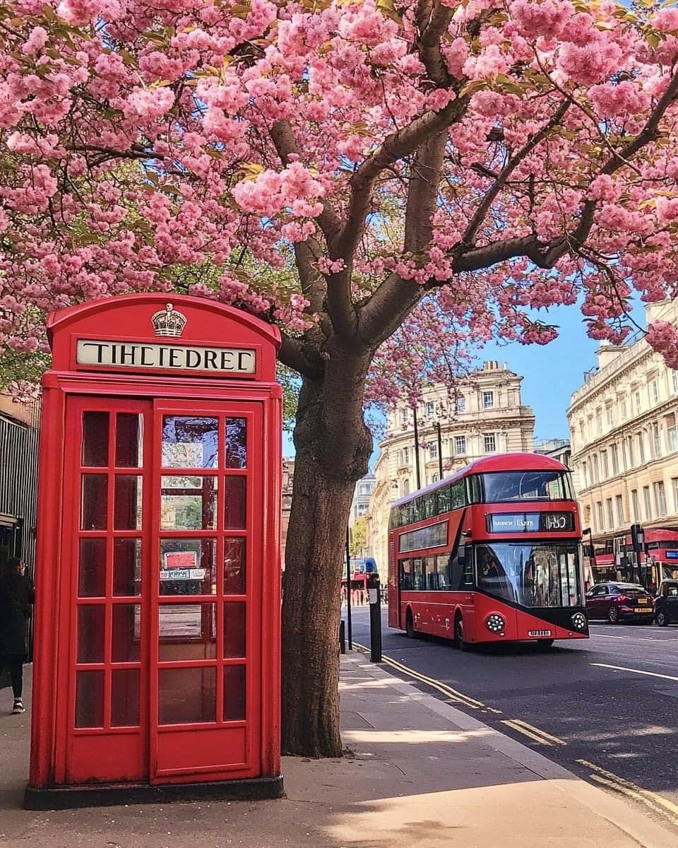 Good Morning 
Happy Weekend 

(London,📷 Pinterest)