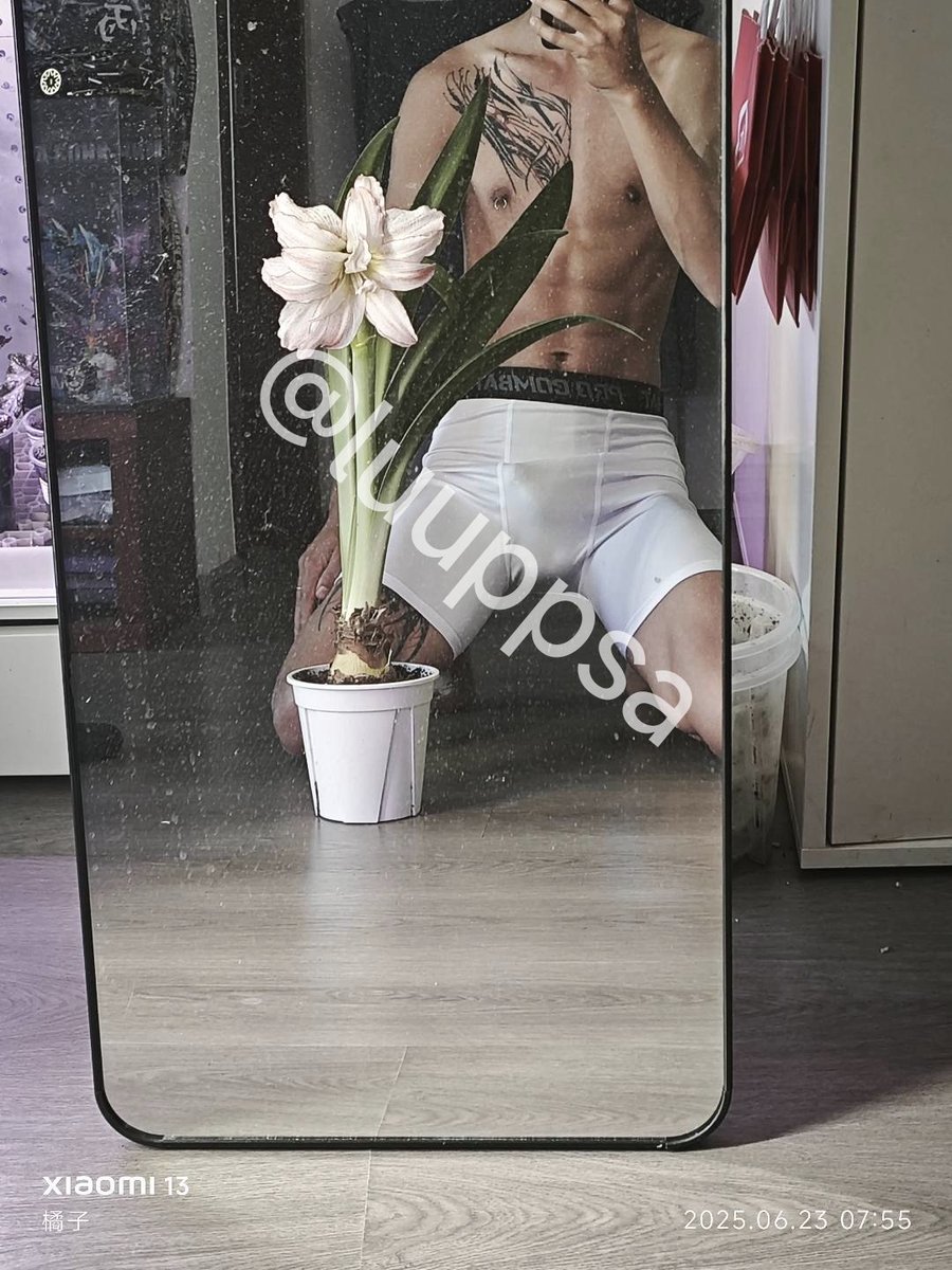 花开了，你的花花能开吗😛