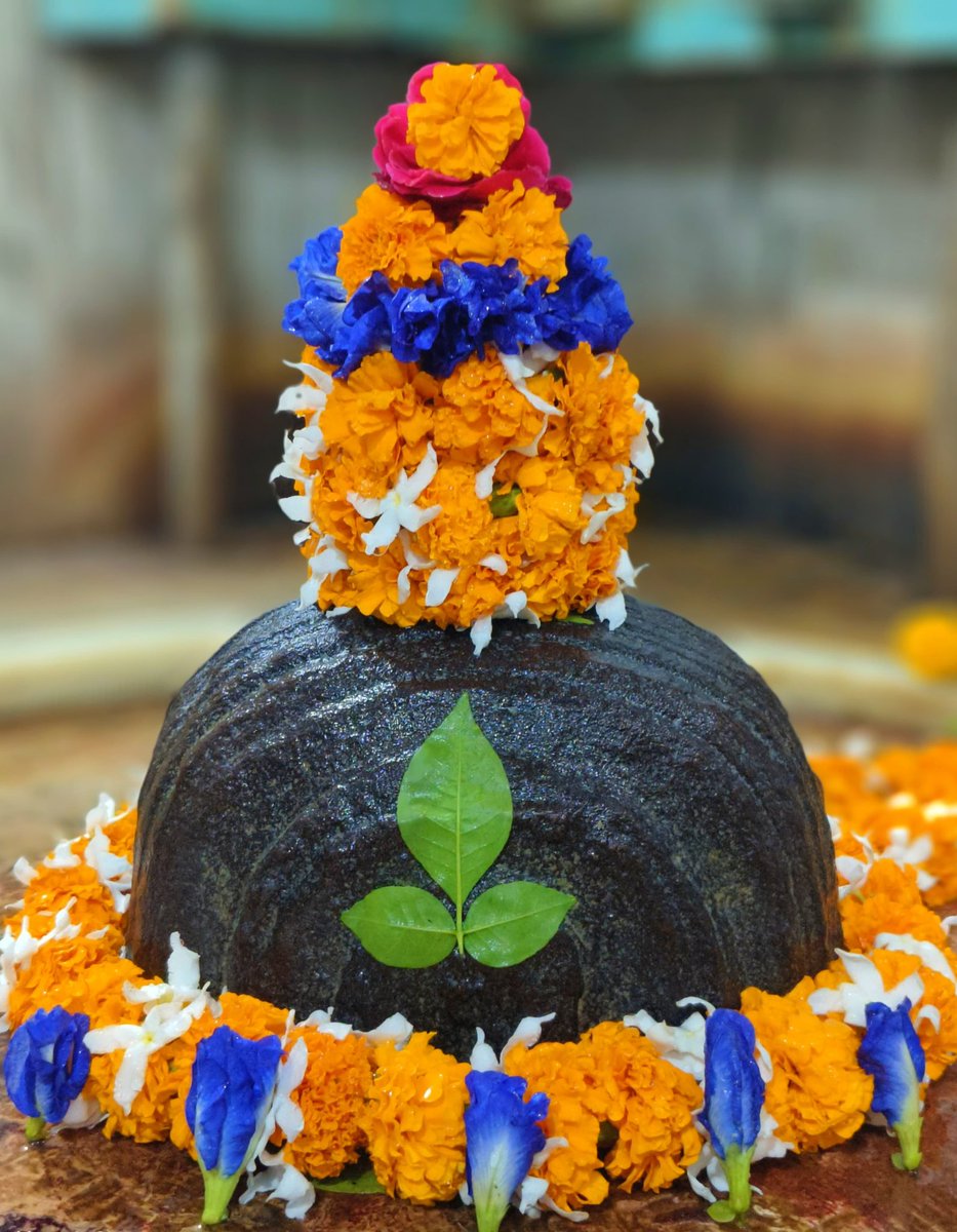 ‼️ऊं नमः शिवाय ‼️