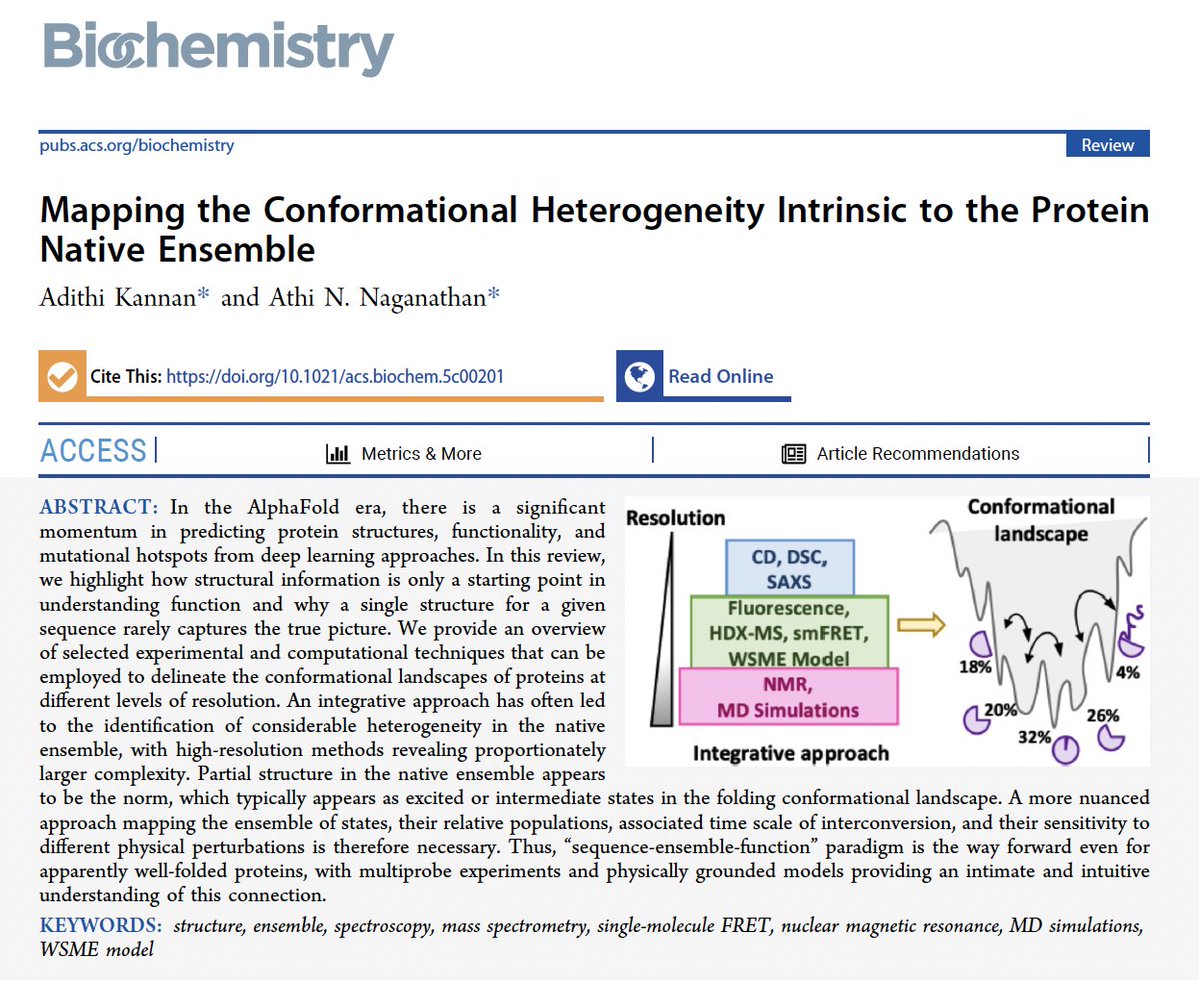 AthiNaganathan's tweet image. Our review on methods to map protein conformational heterogeneity - 'sequence-ensemble' paradigm holds even for folded proteins and the key lies in mapping the ensemble of states, and not just in predicting the structure! @DBTIndia @serbonline @iitmadras
pubs.acs.org/doi/10.1021/ac…