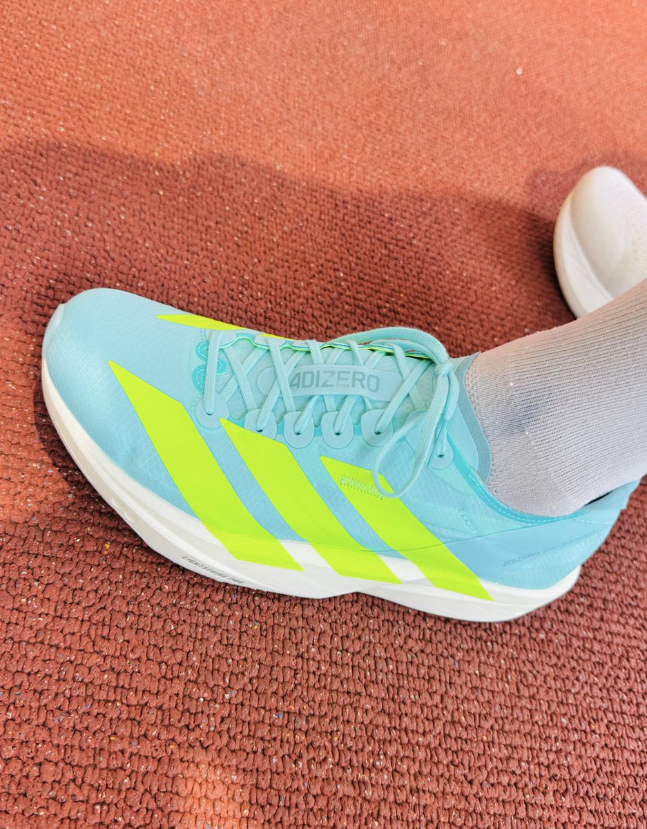 ラン日誌📝

タクミセン11のサイズ試着がてら朝ラン。かかと抜けが気になって見送った前作。今回はそこが改善されていればフルマラソンで起用しよう、と楽しみにしていました🏃

結果は◎でした！ただ、26cmだとジャストすぎて、26.5cmだとやや緩いパターン。サイズに悩みそうです🤥