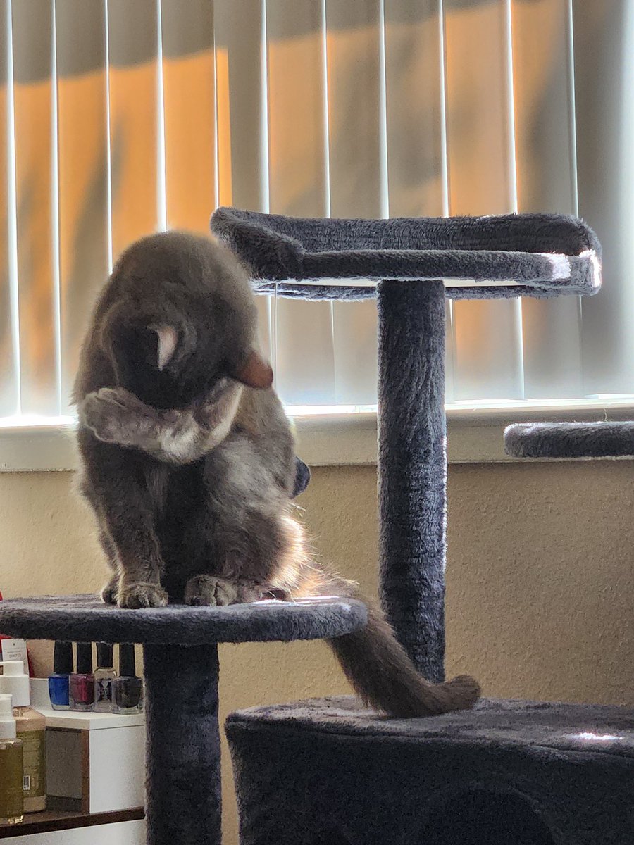 WalterBestBoy's tweet image. Walter says thank you for all the love!! he's actually getting a little choked up