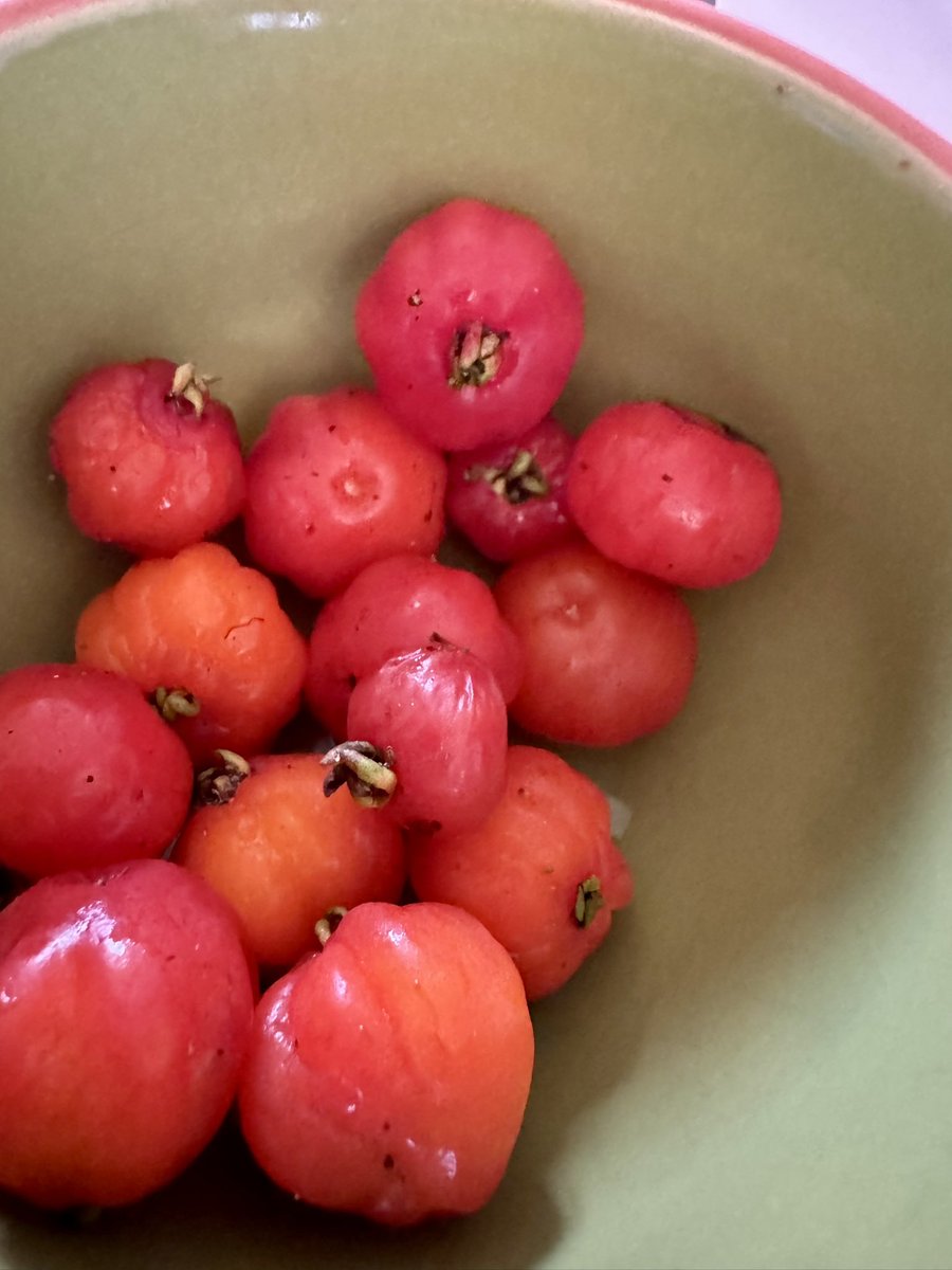 𝐒Ѳㄥ tweet media