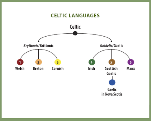 BrittonRevival's tweet photo. Discover the Breton Language: A Journey into Celtic Heritage
Breton is one of the last living voices of the Brittonic branch—cousin to Welsh and Cornish, rooted in ancient Britain, now spoken in Brittany.
Revive your roots, reconnect with Breizh!
#BreizhAmerika #BretonLanguage #CelticRevival #Brittonic #LanguageHeritage #Brittany