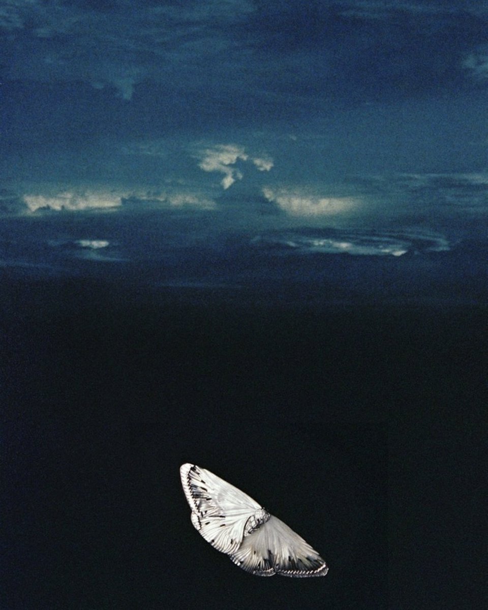 海外誌のブシュロンのハイジュエリーの写真がすごく素敵📷写真とジュエリーの合成（乗せて撮影？）だと思うのですが、ジュエリーの美しさと写真があっていて。
ジュエリーが、ビジュアル媒体として作品の1つとなる。