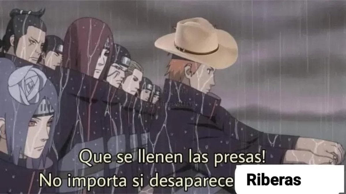 Out Of Context Chihuahua tweet media