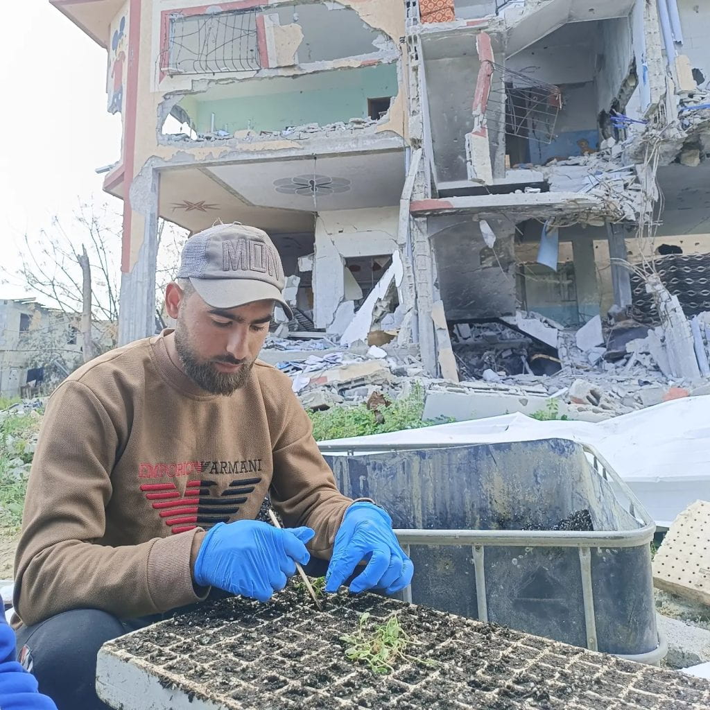docstobar's tweet image. For the scholasticide website, Aya Elsehaimy writes about Yousef Abu Rabee, the 24-year-old agricultural engineer who helped the people of Gaza feed themselves during the first year of the genocide and was murdered by Israel for doing so.
voices.uchicago.edu/scholasticide/…