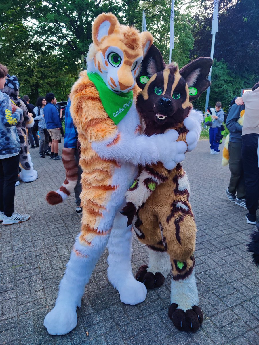 what is <a href="/HanoukWilddog/">Hanouk</a> searching for? 😳