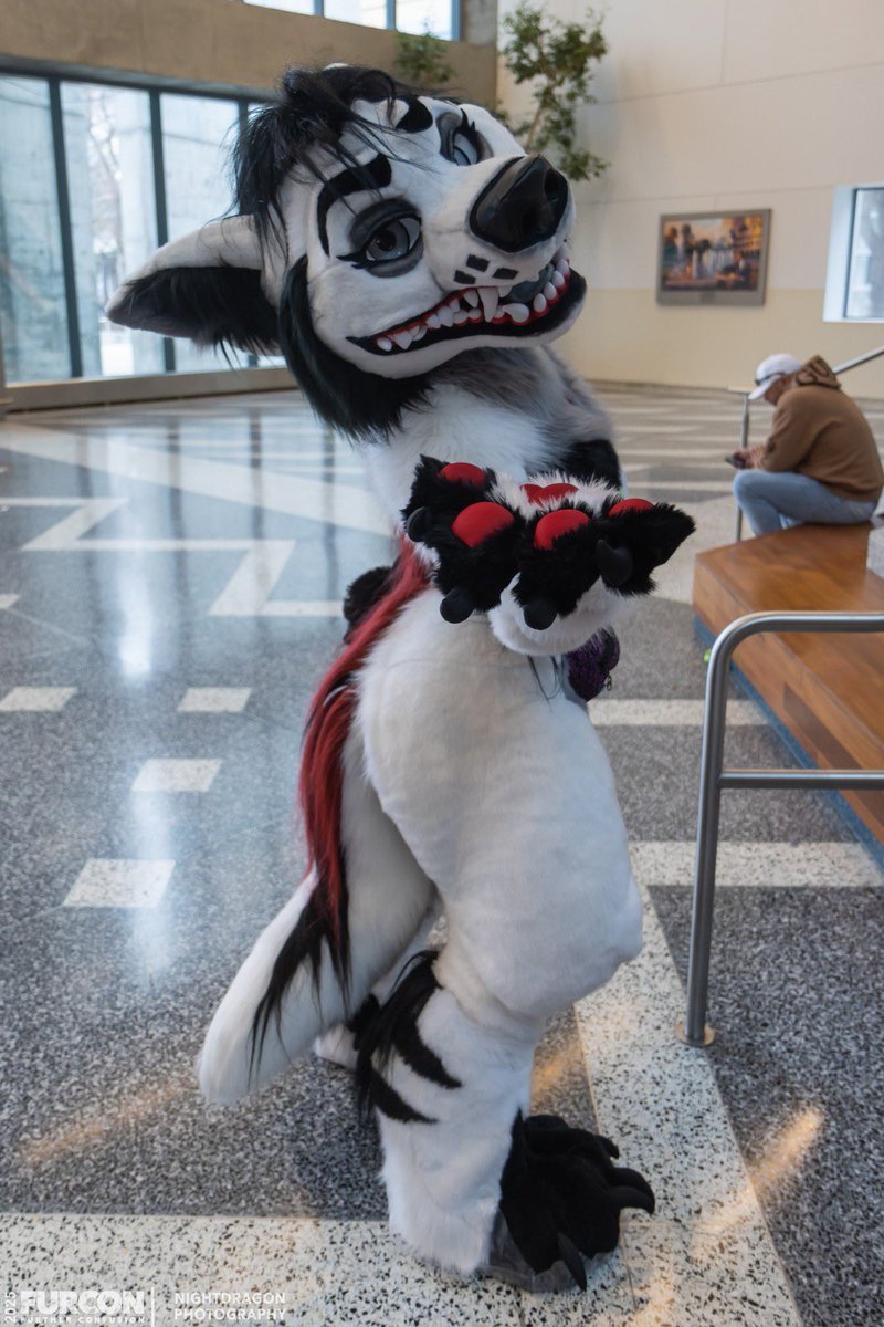 KaiVixie's tweet image. Just wanted to put some feelers out there for a potential trade for a glitzy fox suit! This is my second suit Xena that i received from the lovely kupferbeast! I love Xena to bits but Iโve unfortunately drifted apart from her character. Iโve really thought about this (continued)