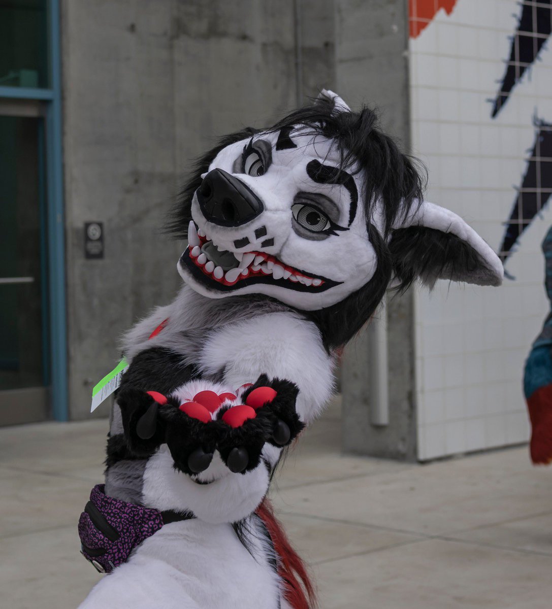 KaiVixie's tweet image. Just wanted to put some feelers out there for a potential trade for a glitzy fox suit! This is my second suit Xena that i received from the lovely kupferbeast! I love Xena to bits but Iโve unfortunately drifted apart from her character. Iโve really thought about this (continued)