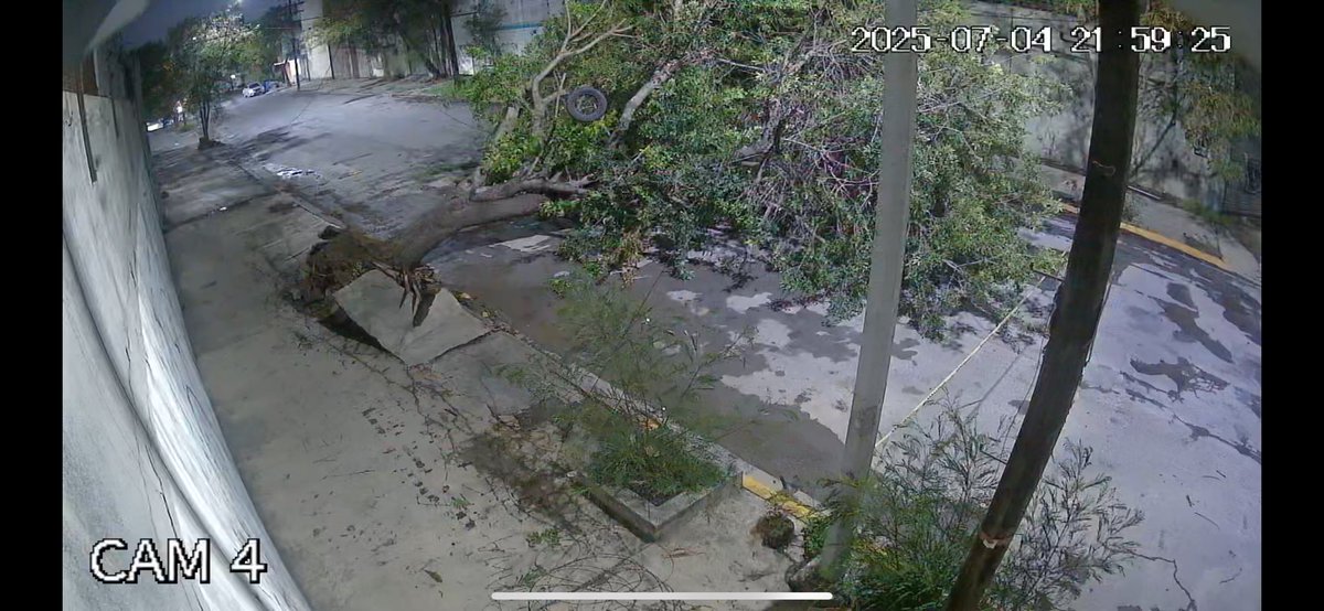 jholzm's tweet photo. Árbol caído en la Col. Niño Artillero
Calles: Pascual Ortiz Rubio esquina con Luis Moreno.
Se reportó desde las 3:00pm con Protección Civil y Tránsito, me tomaron datos y ahorita a las 10:00 de la noche nadie ha ido 
@Cicmty @PC_NuevoLeon @info7mty @telediariomty https://t.co/NoYtnQals7