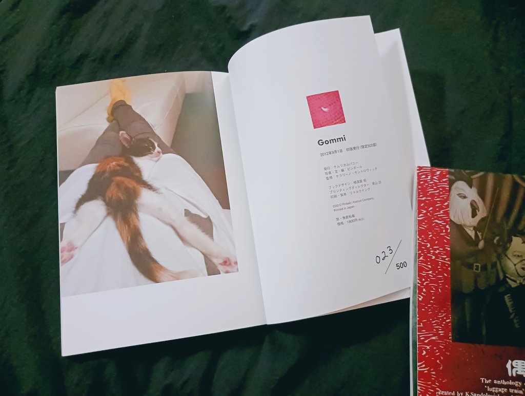 ごみちゃんの写真集から13年たってる。2冊目は出ないんだろうか。

#ケムリカンパニー