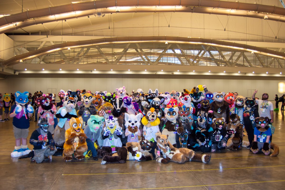polycereal's tweet image. It was so sweet seeing so many dooks came to our Mustelid meetup at #AC2025  this year! We got 2 photo sessions and look how many slinkies there! 
Also shout out to @Kippefir  and @GaleTazzin  who made this panel much funnier! 🥚

Rumpbum (telegram) took the first 2 pics!