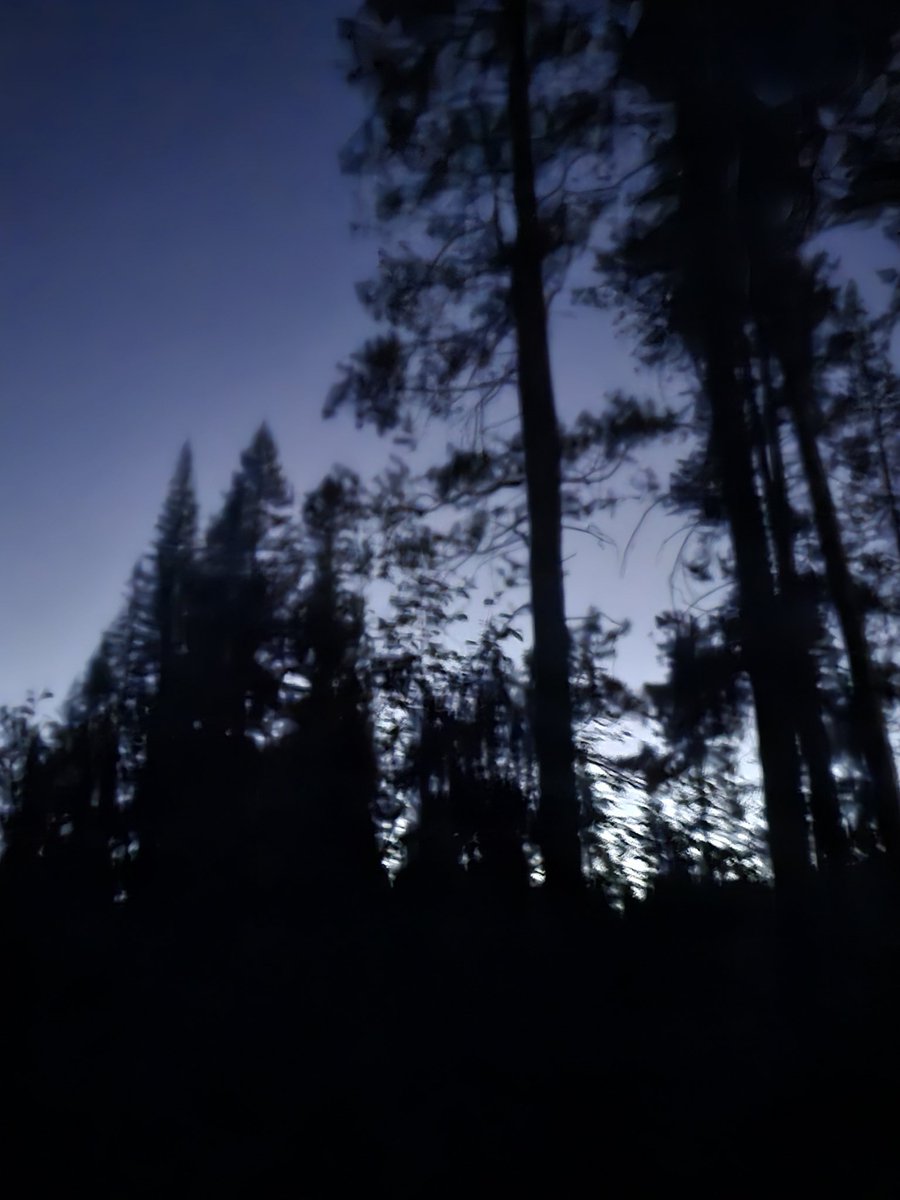 Brian81277's tweet image. Mammoth after dark