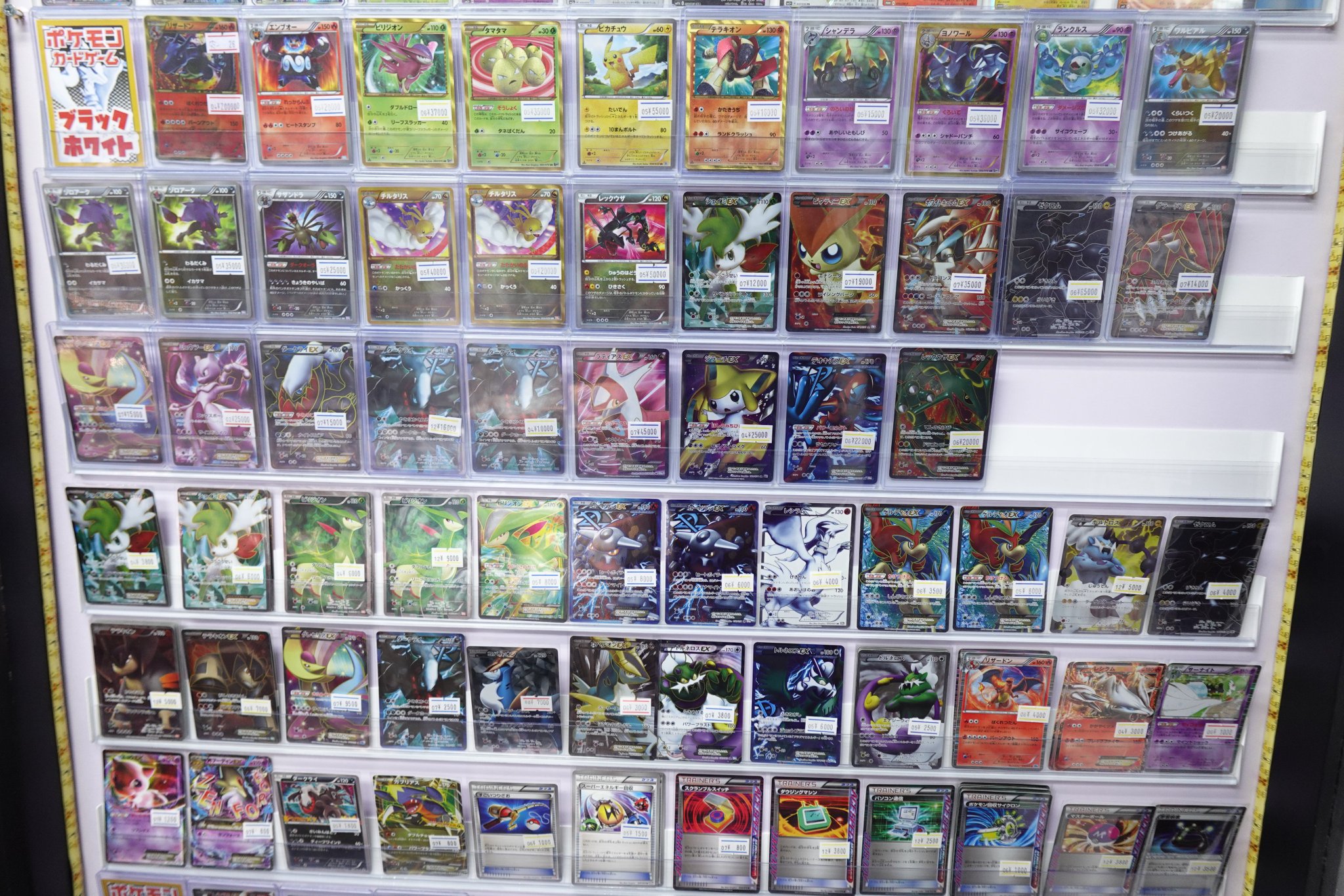キャンハゲトレカ トレカショップ】 ポケットセンター秋葉原🍎 on X: 