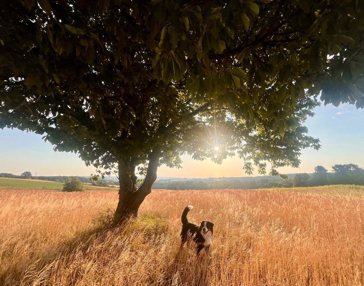 Guten Morgen! 6:25 Die Ostgrenze ist sicher! #Finnborderpatrol