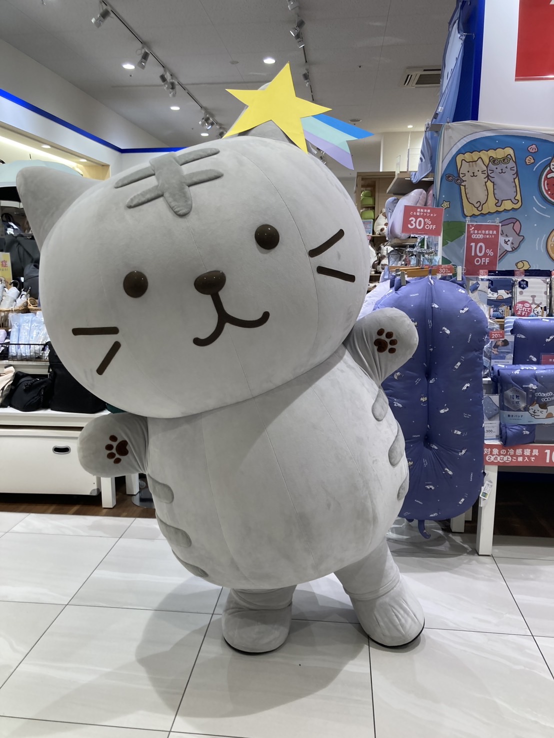 にゃんこ Fuku Fuku Nyanko(ふくふくにゃんこ) on X: 