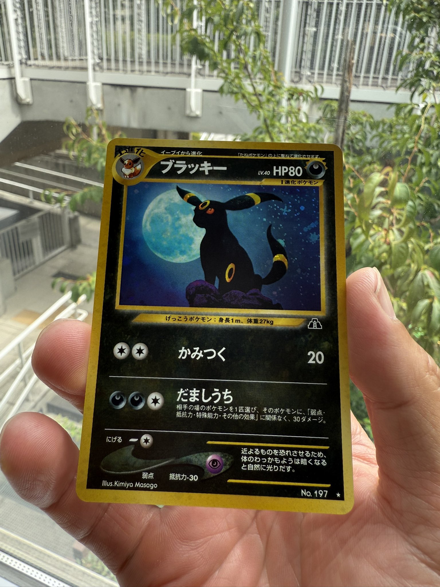 ブラッキー　拡張パック第2弾 遺跡をこえて ブラッキー ☆ 拡張パック第2弾 遺跡をこえて… 旧裏 ポケモン