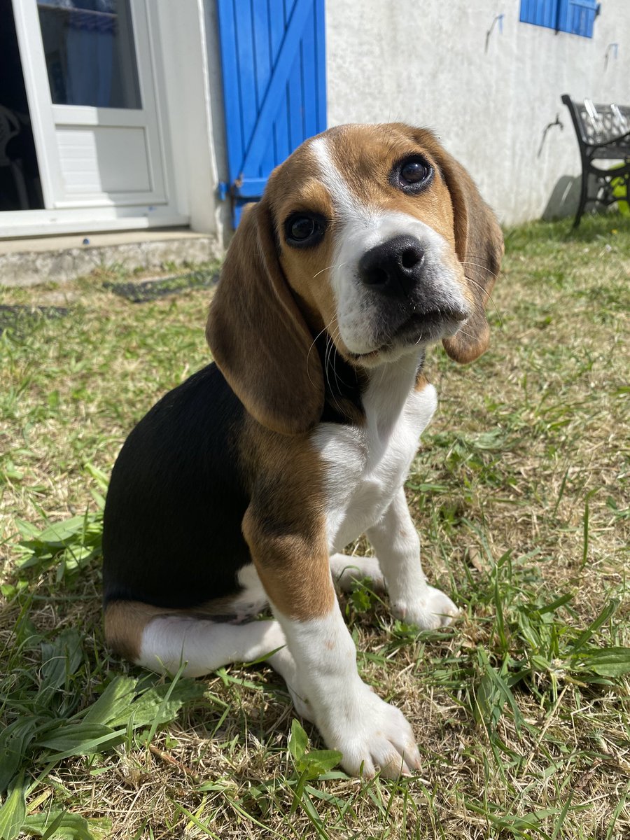 Carrolyna tweet media