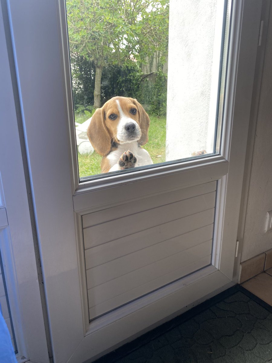 Carrolyna tweet media