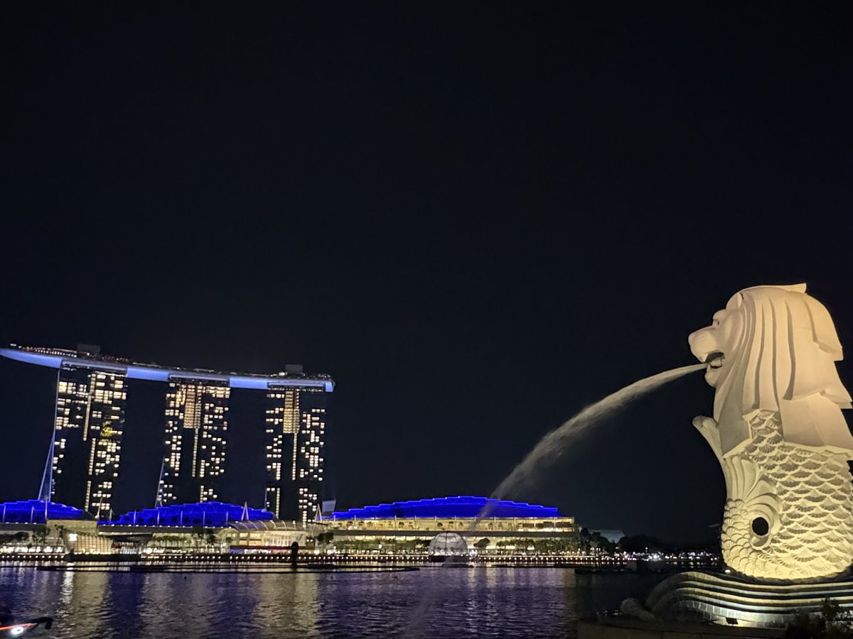 ykfer_chan's tweet photo. Merlion park at night🇸🇬 #Singapore https://t.co/hamV3CXbh5