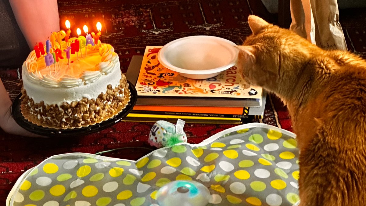Birfday party complete.
