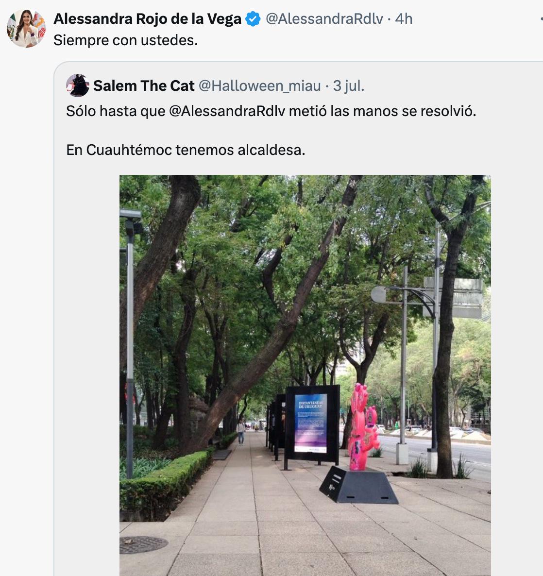 🎙️🇲🇽 MASTER 🥑 tweet media