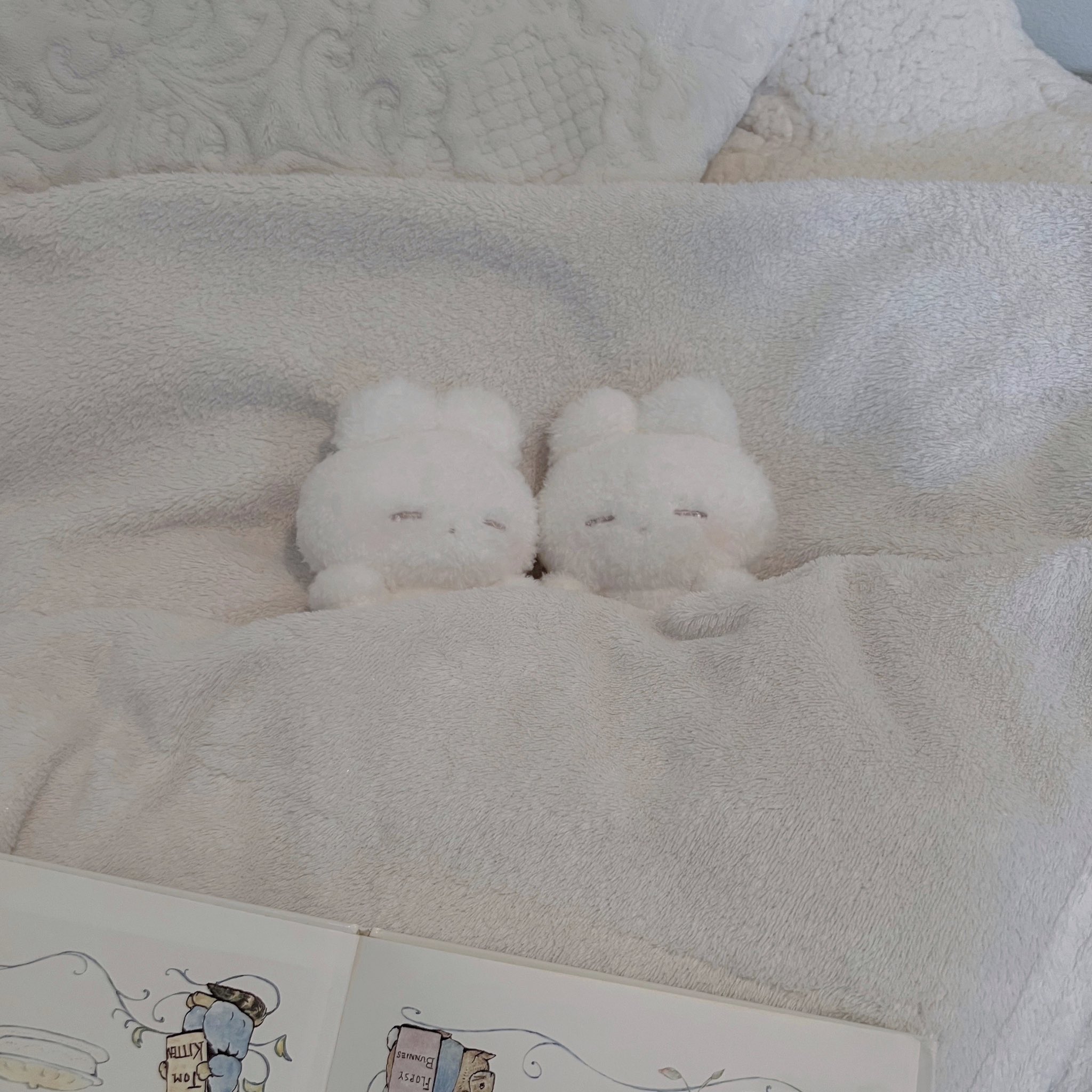 うさぎのねむちゃん (@remme_lt) / X