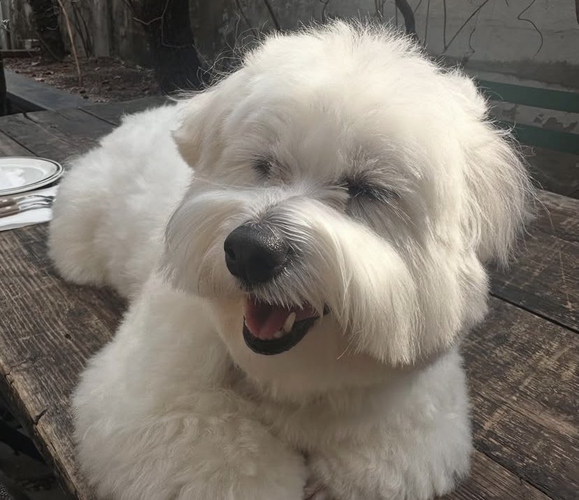 ︎︎︎︎ ︎ tweet media