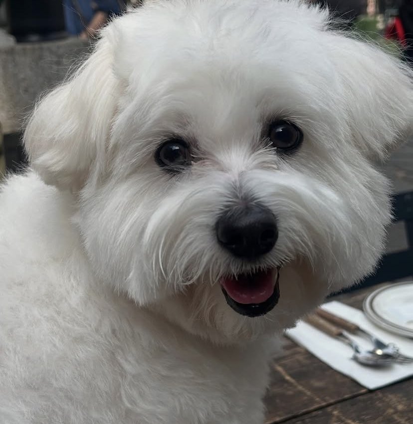 ︎︎︎︎ ︎ tweet media