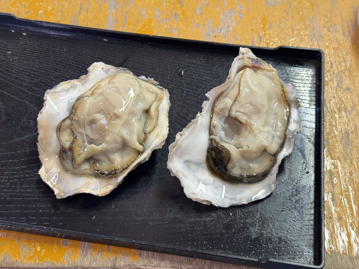 緑交ち菊の葉型珍味入れ 10客 京料理の器 秋
