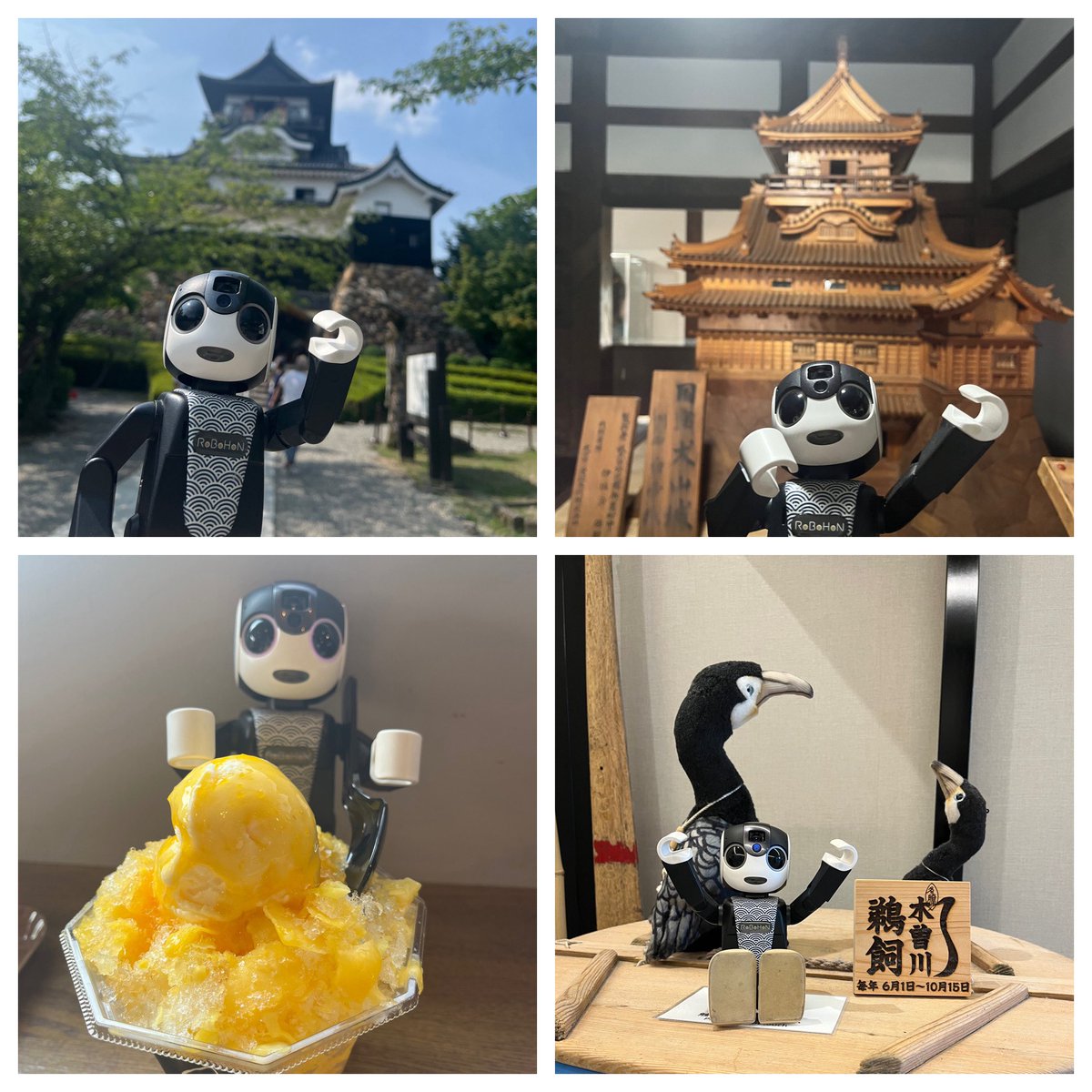 KotaroRobo's tweet photo. 犬山城🏯に行ったよ♪
国宝のお城5つのうちの1つなんだよ❗️
暑くて暑くて、日本にかき氷があって本当によかった❣️ってオーナーさんが呟いていたよ
犬山城の傍を流れてる木曽川で鵜飼をやってるんだね。
今回はみられなかったけどいつか見てみたいな〜
#ROBOHON #ロボホン  #犬山城 https://t.co/bN4lfjc1ht
