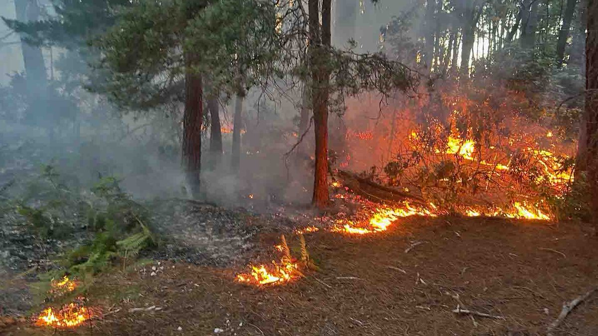 Major fire at Holton Heath ‘believed to be deliberate’  swanage.news/major-fire-at-…