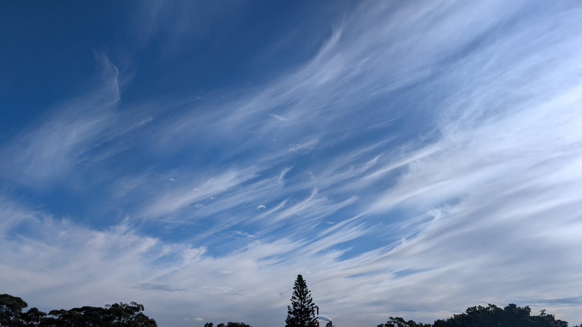 higgins1112's tweet image. High speed, high altitude winds over Sydney today.
Might be a cold night.