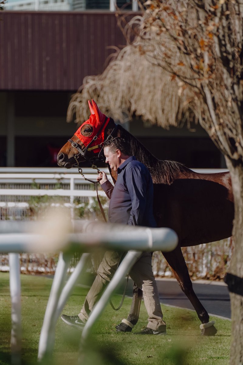 Just two besties at Flemington 🫶

#WinterRacing #Flemington