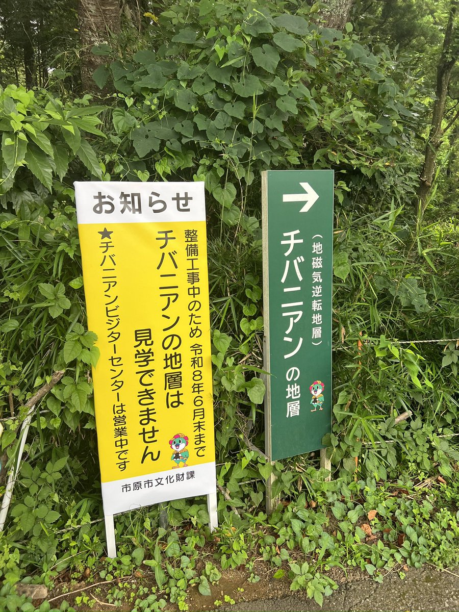 wizard9th's tweet photo. https://t.co/IwkOcKWIpo
