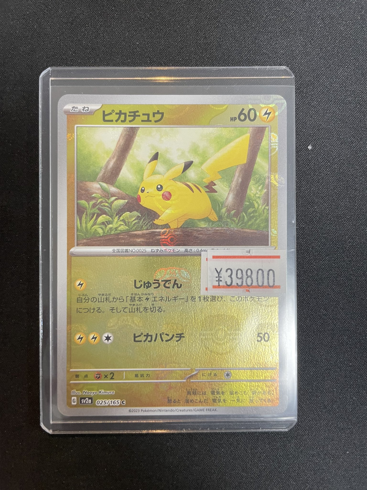ポケットピカケチュウ ポケットピカチュウ! カラー / おともだちブック