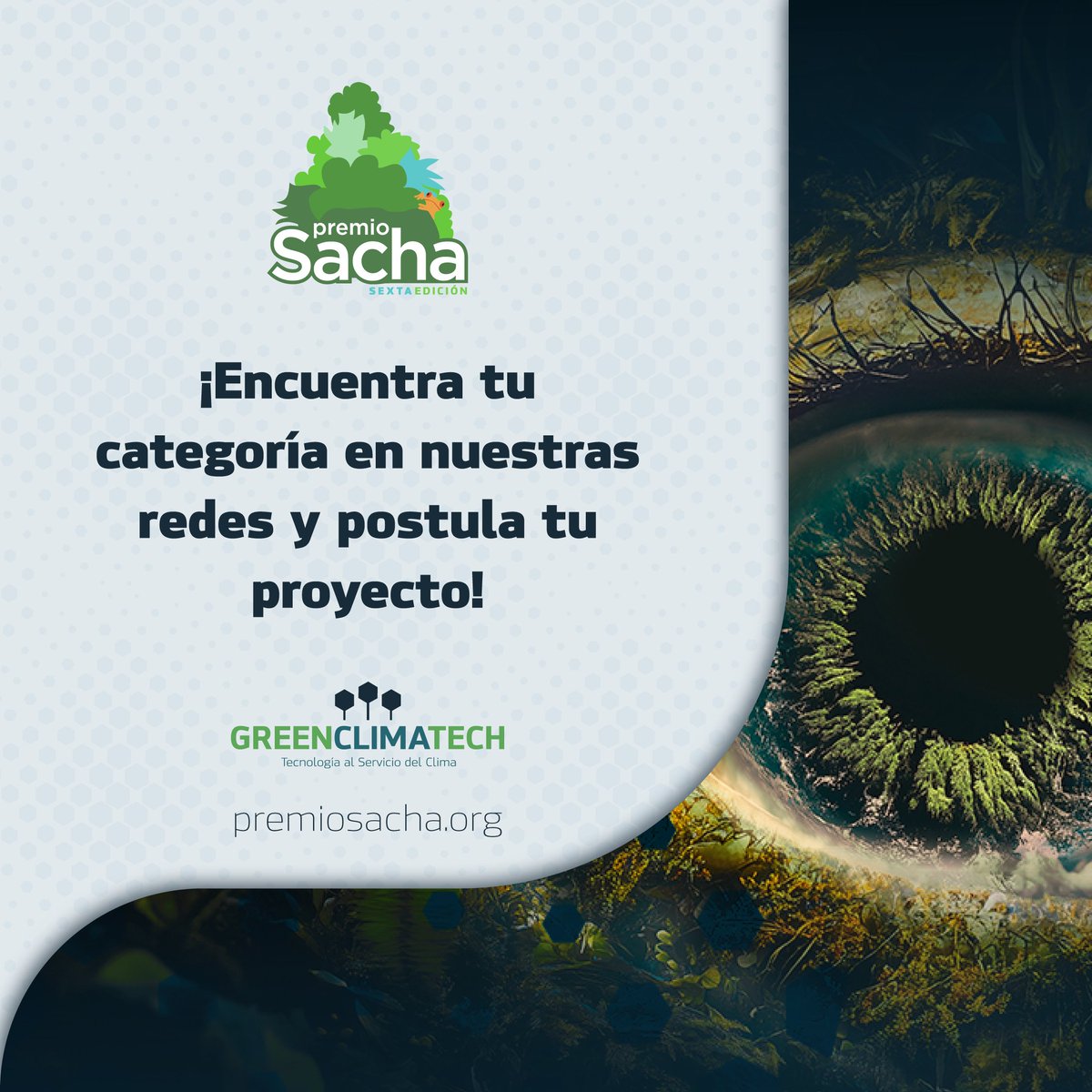 PremioSacha's tweet photo. 🌊 El océano también necesita aliados tecnológicos.
En esta subcategoría buscamos soluciones que protejan nuestros mares con innovación.

🛟 Si tu proyecto cuida lo que no siempre vemos, este es tu lugar.

Postula tu proyecto aquí 👇
https://t.co/nY6ICq0eNi https://t.co/ADqRT1CZ2t