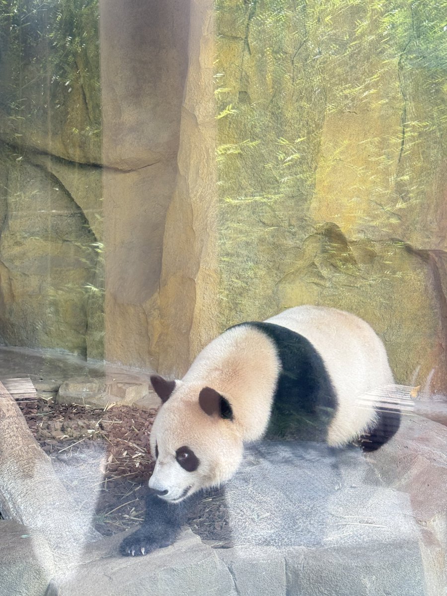 周末愉快，我又来抽奖了🩵，本篇抽100U（五位瓜分）

1.关注我
2. 转推+爱心
3. 留言照片的地点在哪？

#48小时开