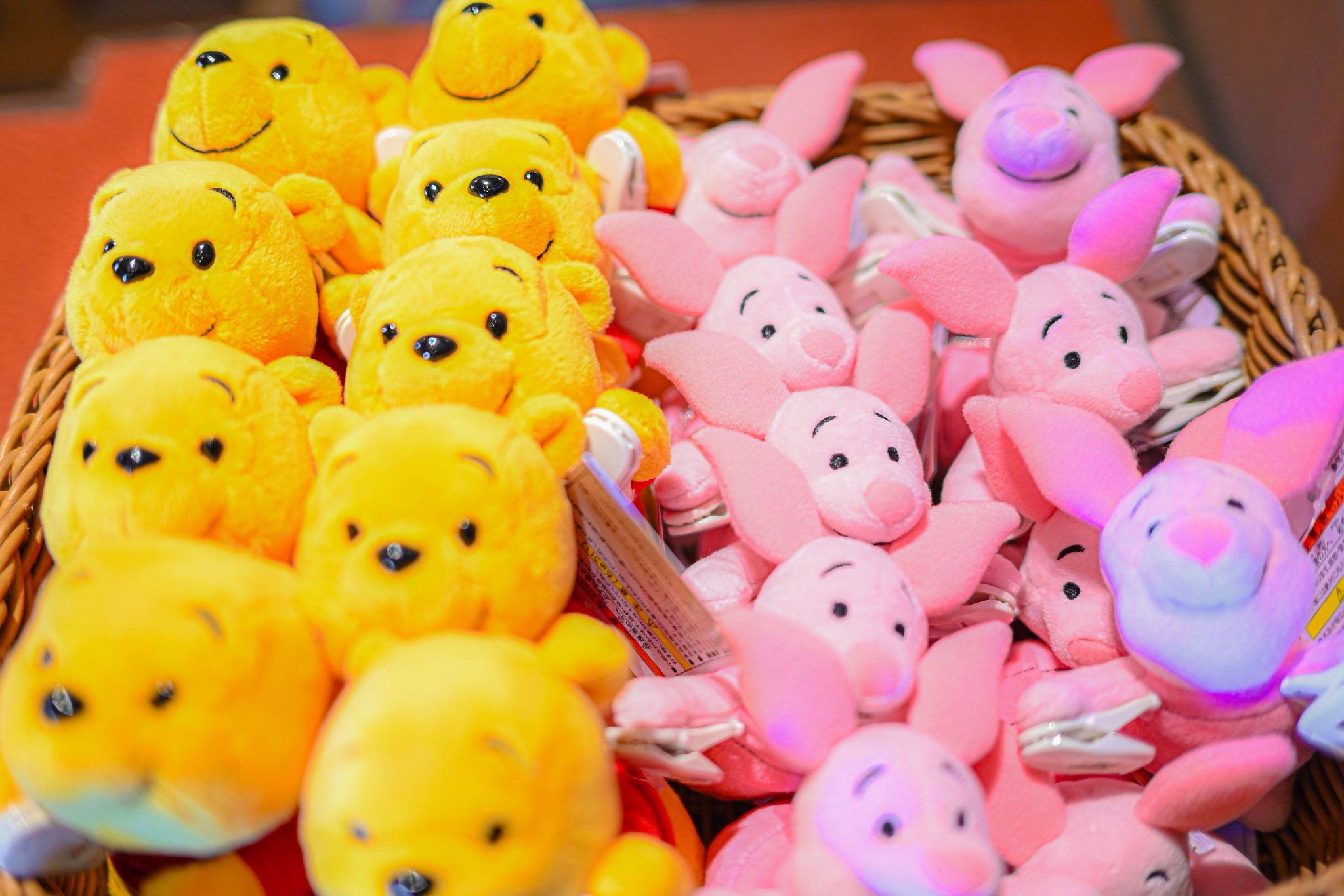 ◆ ディズニー大好き♡ 閉園間近に乗ったからほぼ貸切状態だった🗺️♡ 来月は