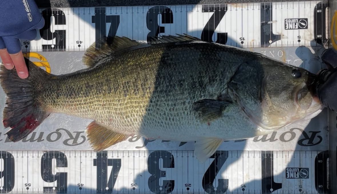 genchisyugou's tweet photo. 【琵琶湖に現地集合】

ロマンメイド　武山社長、テラオホールディングス　寺尾会長　ありがとうございました！ https://t.co/ZhTI7gFPsE