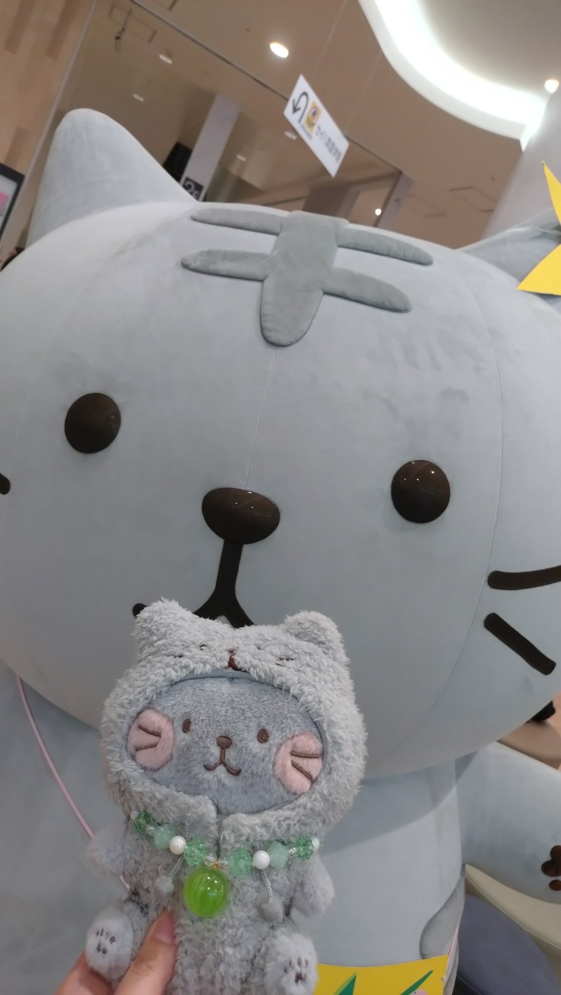 【お気にいる】 rioka on  X: 温室・飼育ケース