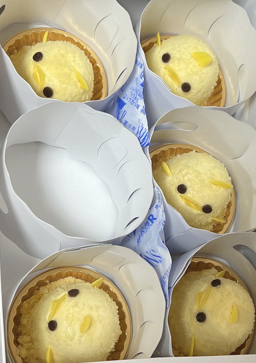 今日も全力MATSURIしてきます✨ ⭕️みんなで味噌煮込みうどん