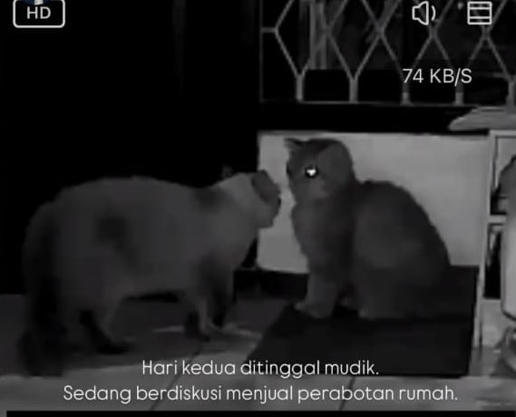 si_panjoel's tweet photo. @kochengfs Lagi nyari ide buat kabur https://t.co/AmwyJsjm5Y