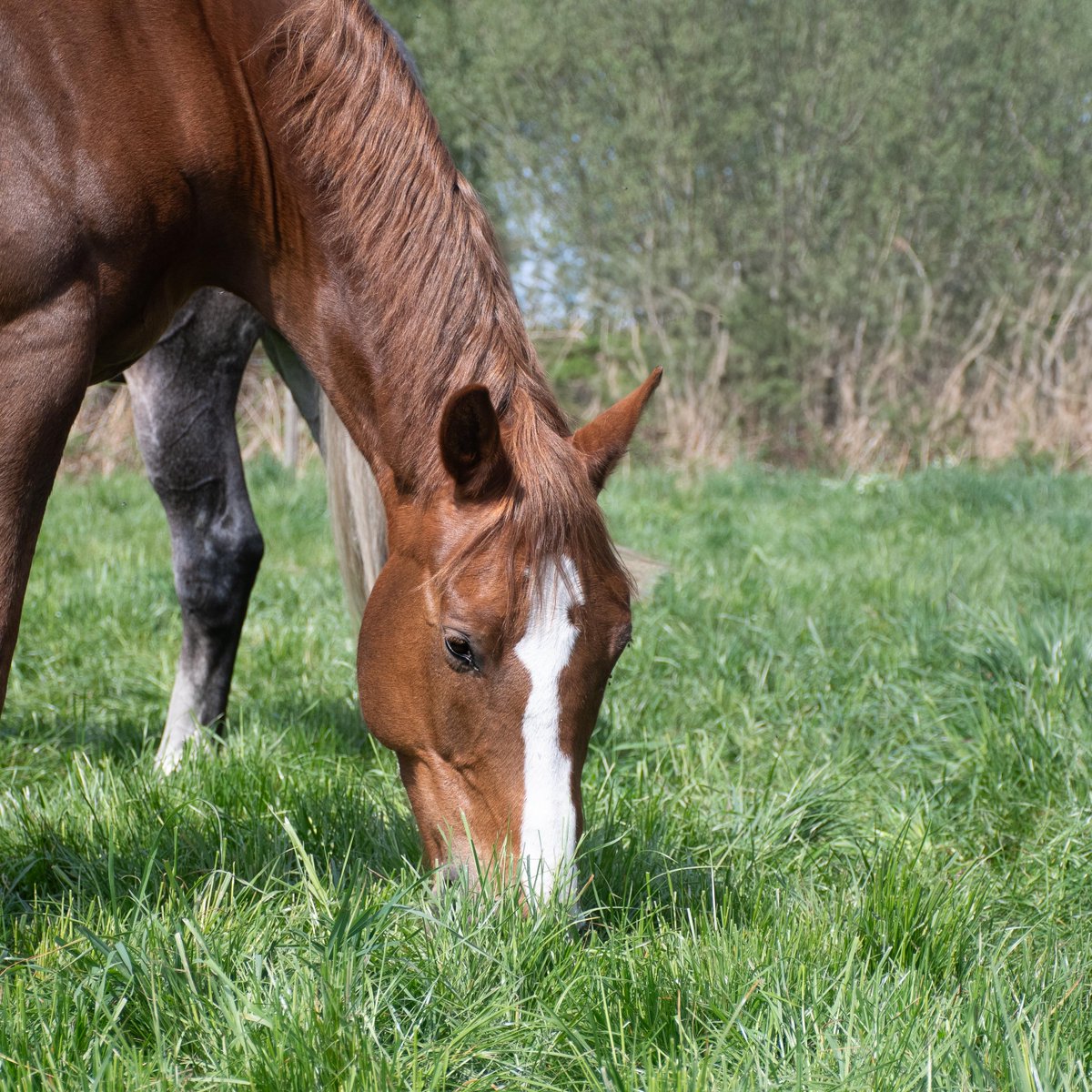 Topping-up Vitamins &amp; Minerals - mailchi.mp/simplesystem.c…