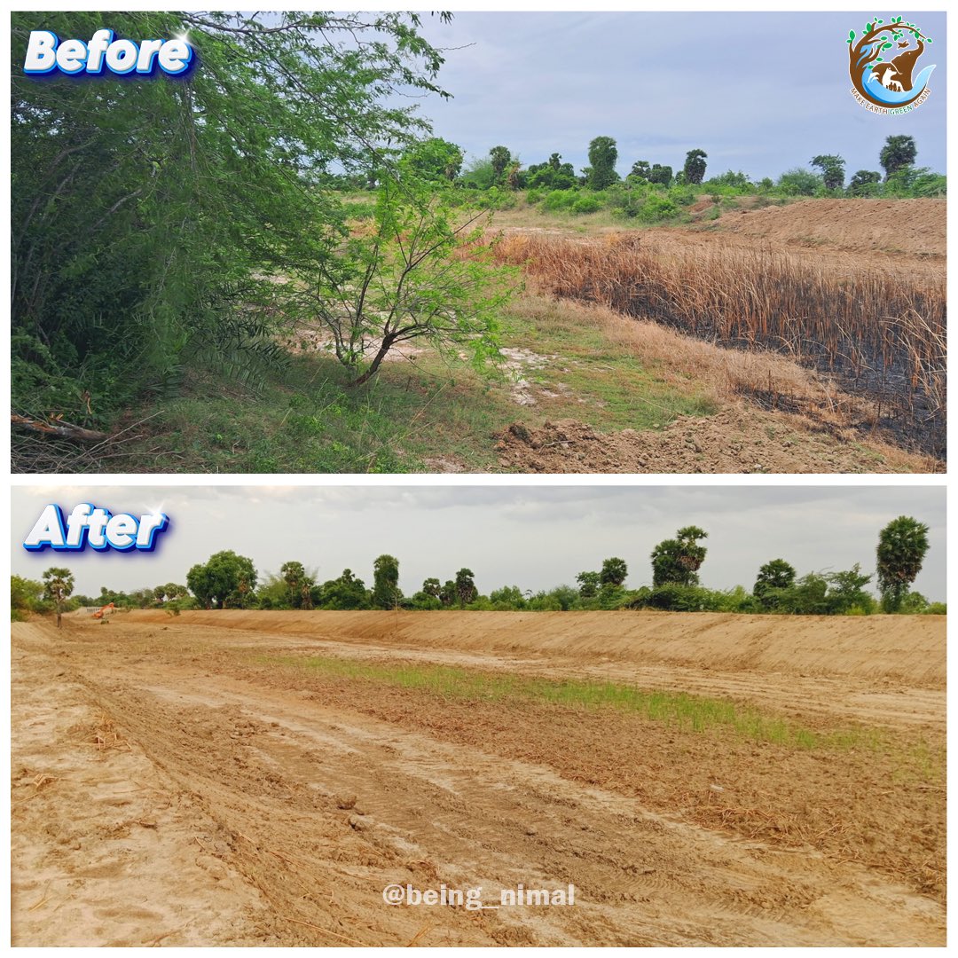 புதுக்கோட்டை மிகப்பெரிய பாசன ஏரியான கவிநாடு கண்மாயில் வரத்து வாரிகள் சீரமைக்கும் பணிகள் நடந்து கொண்டிருக்கிறது.

#BounceBackDelta #Cauvery #SaveWater #MegaFoundations #WaterCrisis #SDG