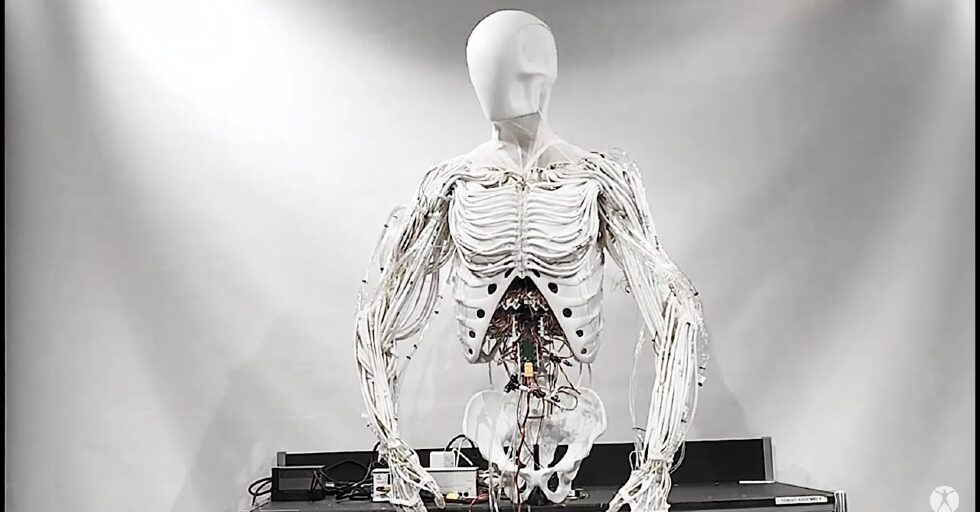 techwithexplore's tweet image. क्या आप पहचान पाएंगे कौन इंसान है और कौन रोबोट?
Clone Robotics बदल रहा है असली और नकली की परिभाषा! 👁️
#FutureOfRobots #CloneRobotics #SyntheticLife #TechInHindi
techwithexplore.blogspot.com/2025/07/blog-p…