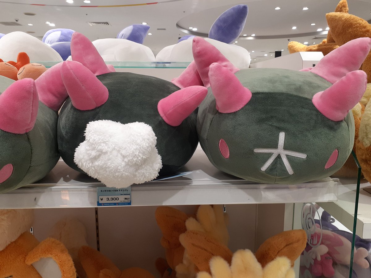 ナマコブシ　まとめ売り ナマコブシの日