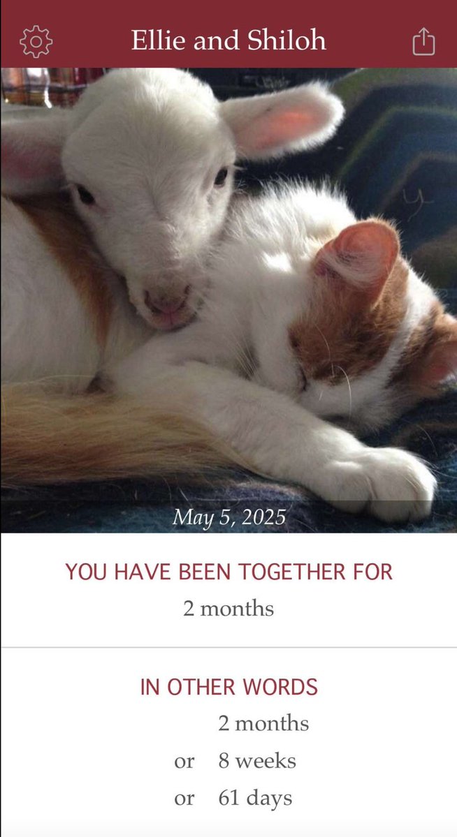 darlinglambkin's tweet image. Stealing this screenshot from my girlfriend but happy two months to Ellie and myself!!